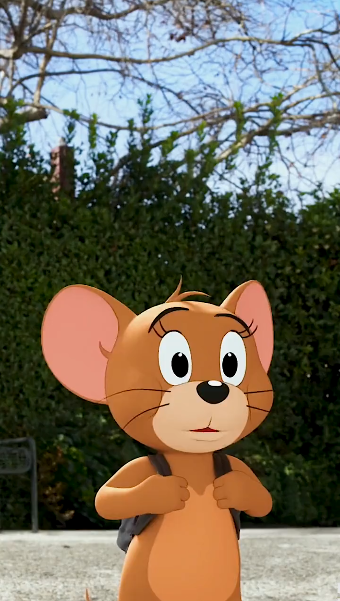 汤姆和杰瑞已经八十岁了 #猫和老鼠 #电影猫和老鼠上映