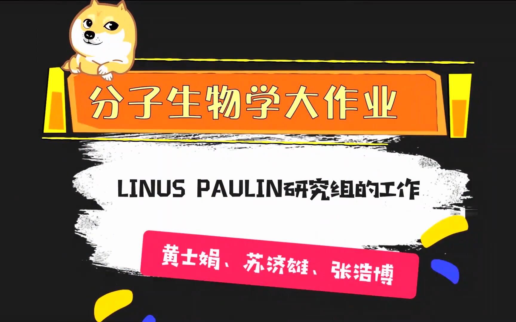 Linux Pauling研究小组的工作哔哩哔哩bilibili