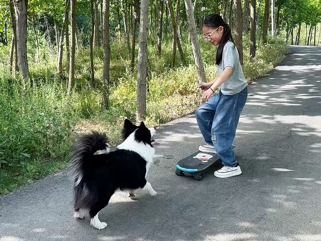 玩个滑板让狗子老师操碎了心哔哩哔哩bilibili