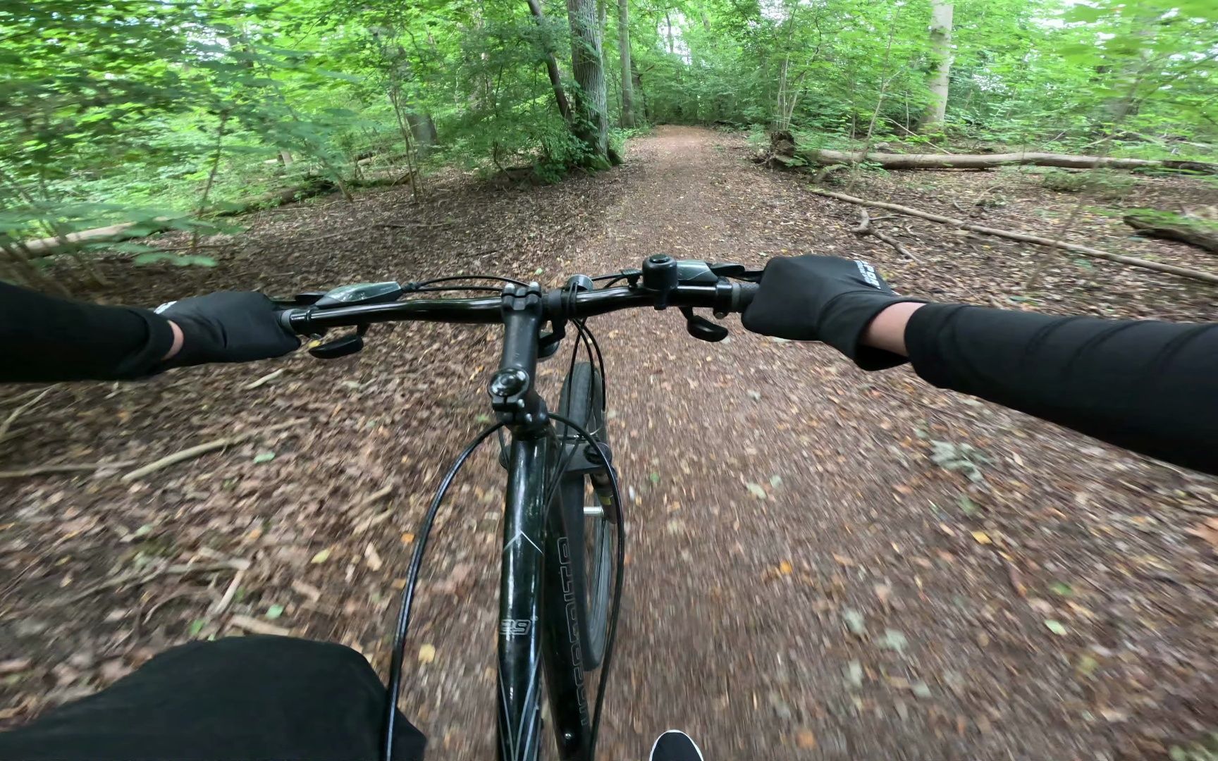 kristianstad森林骑行