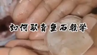 青鱼石如何取 一个完整的