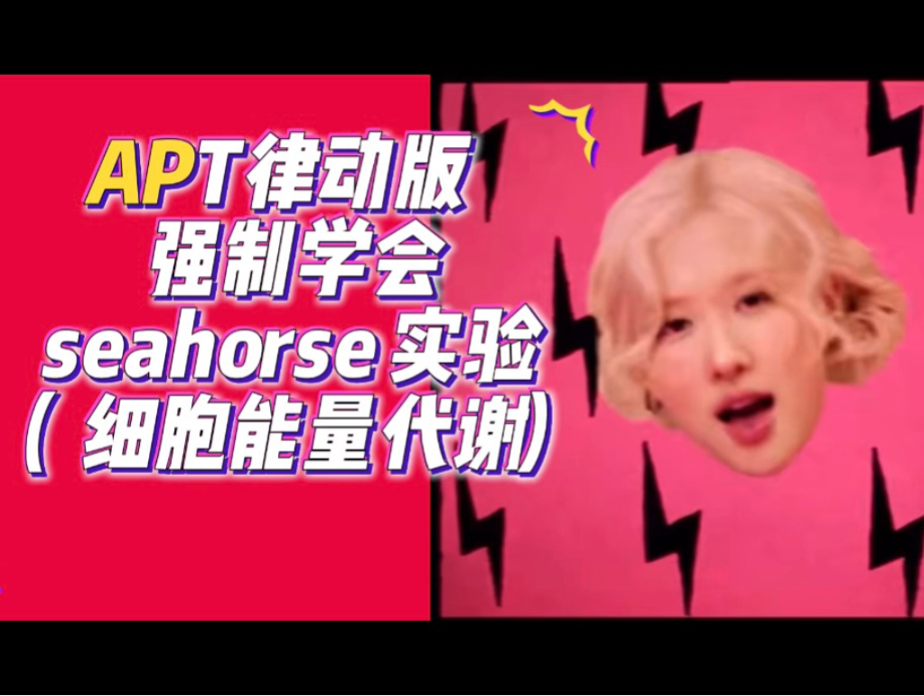 【有梗科研8.0】APT律动版seahorse实验教程(线粒体压力)哔哩哔哩bilibili