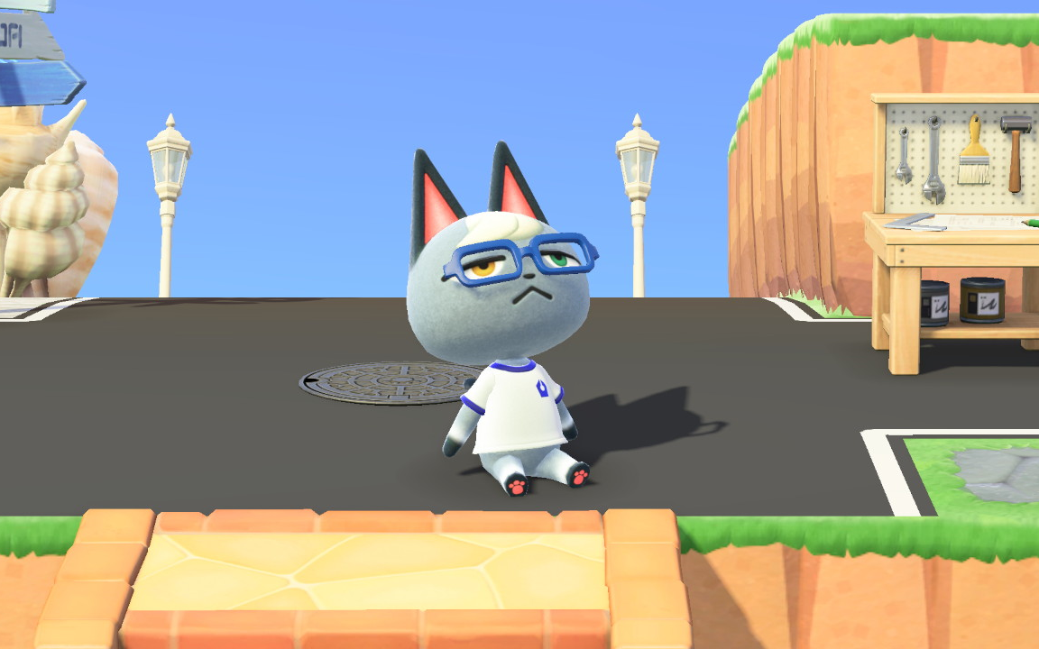 【动森】杰克猫猫的早操时间