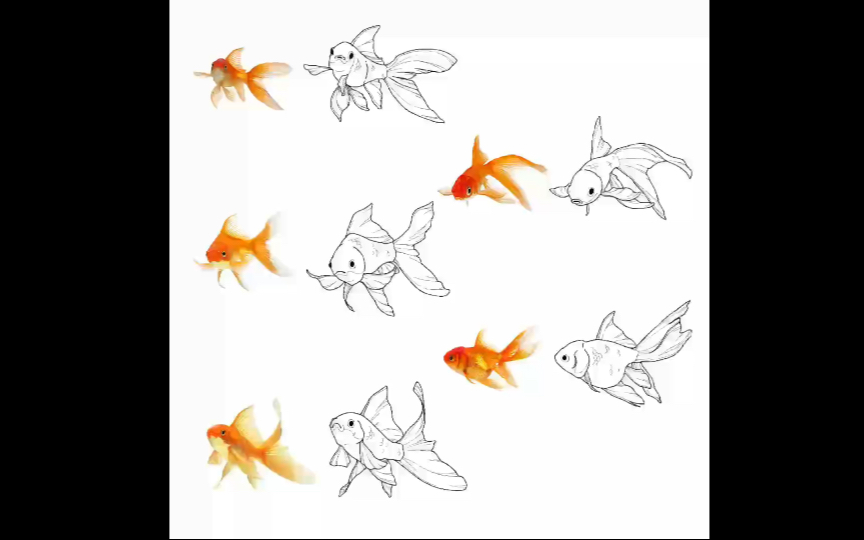 【k大作业】九宫格打型画金鱼