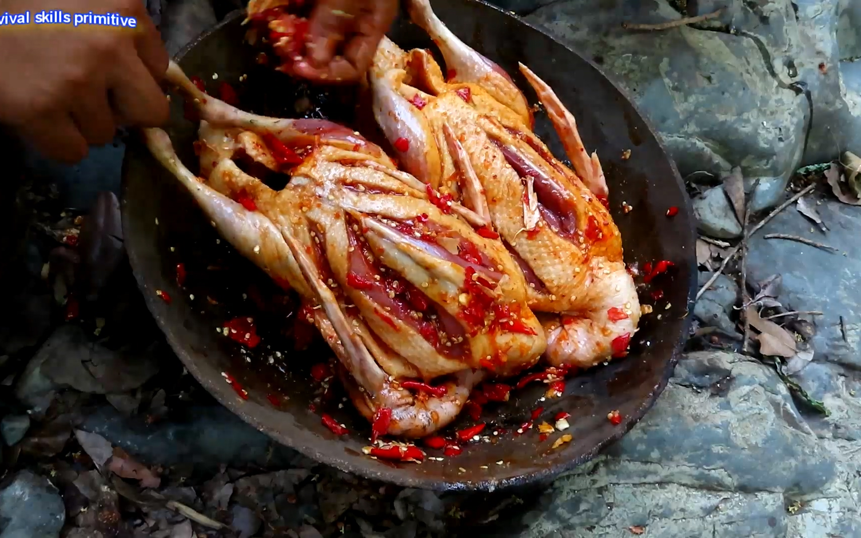 野外制作美味的烤鸭 | survival skills primitive_哔哩哔哩 (゜-゜)