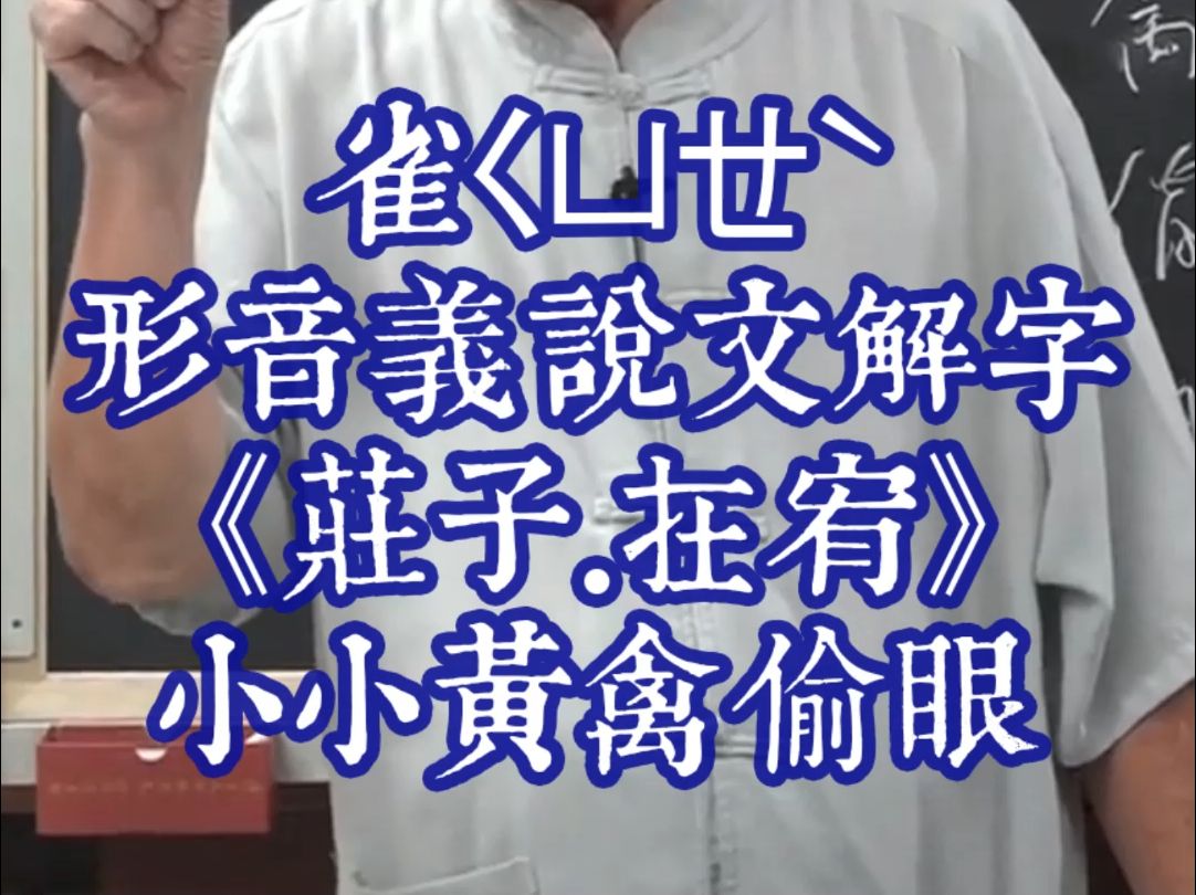 184汉字入门雀ㄑㄩㄝ닥𝢩Ÿ𓤹‰说文解字《庄子.在宥》小小黄禽偷眼哔哩哔哩bilibili