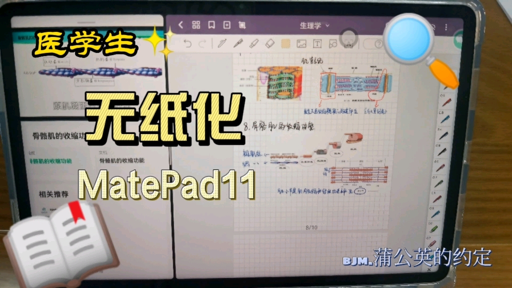 医学生无纸化学习/华为MatePad11(bjm:蒲公英的约定)哔哩哔哩bilibili