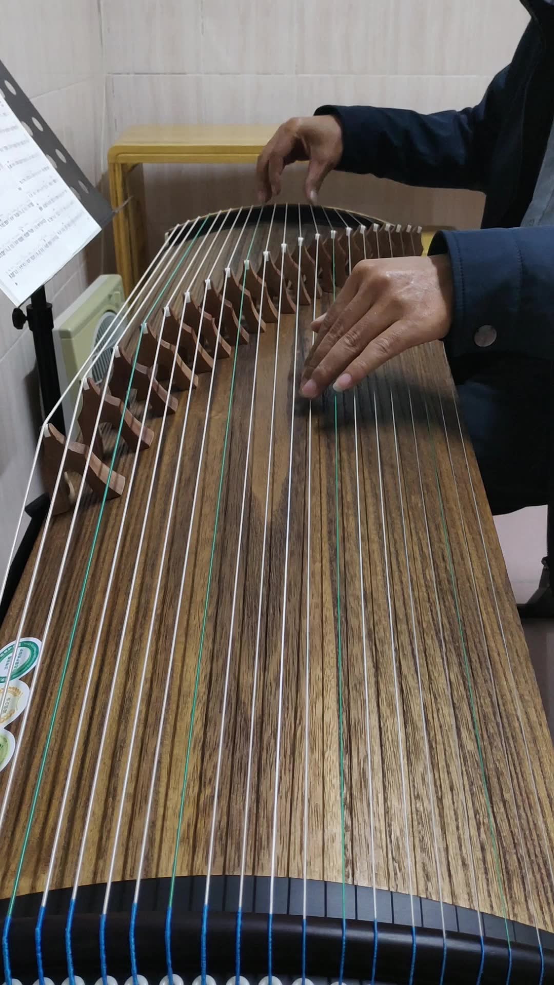 河南筝曲剪靛花