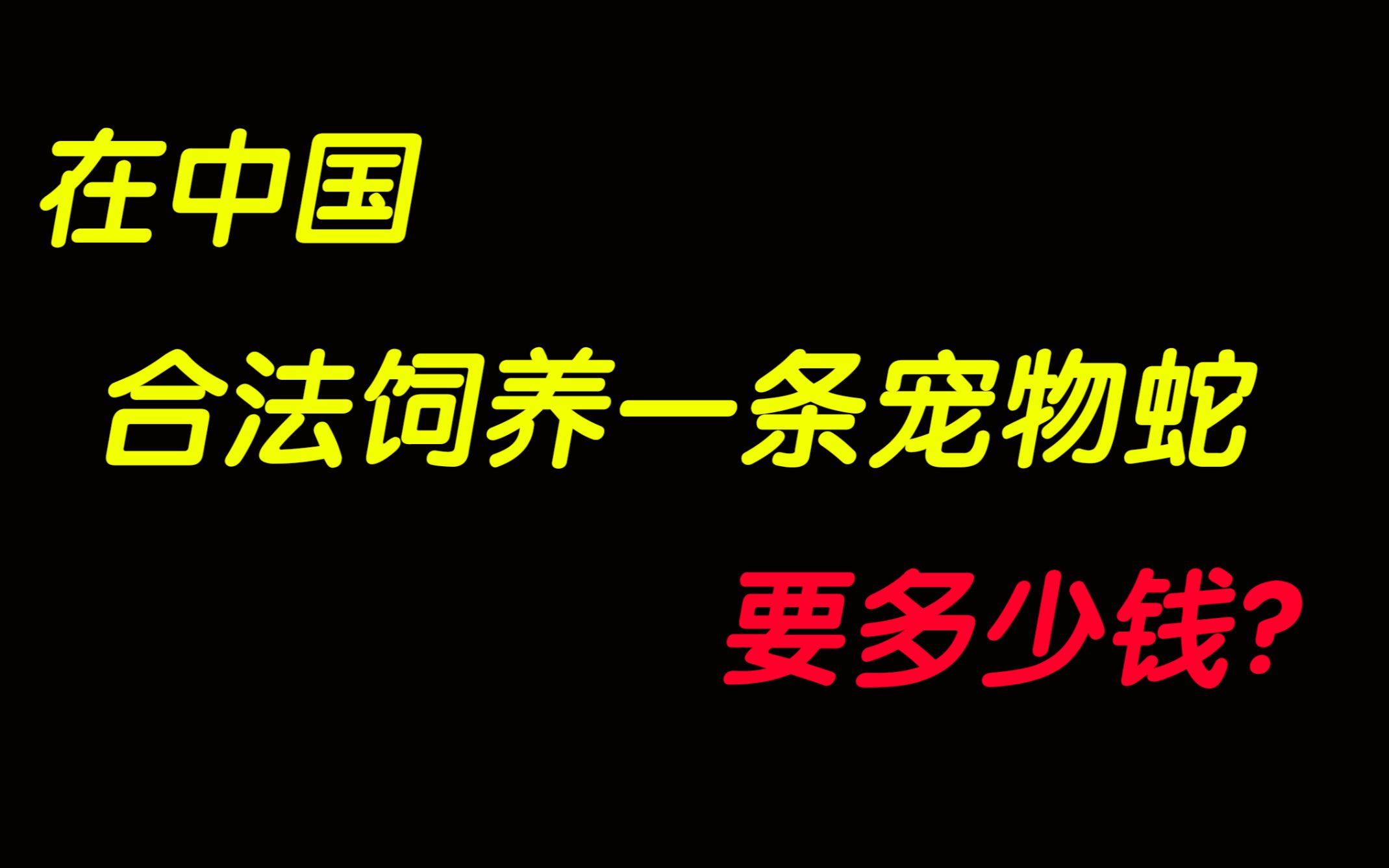 【科普】在中国,合法饲养一条宠物蛇的最低花销是多少?哔哩哔哩bilibili