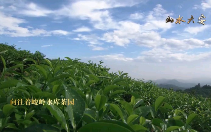 [图]绿水青山，醉美六安