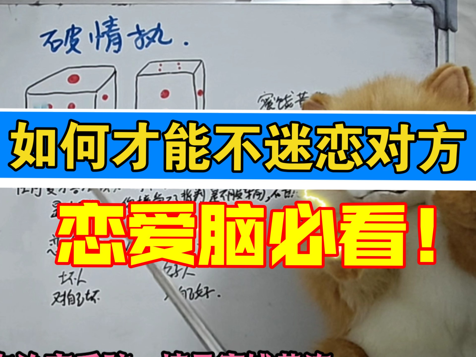 如何才能不再迷恋那个不爱你的人-凡蝶心-凡蝶心-哔哩哔哩视频