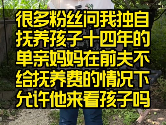 独自抚养孩子十四年的我在前夫不给抚养费的情况下让他来看孩子吗哔哩哔哩bilibili