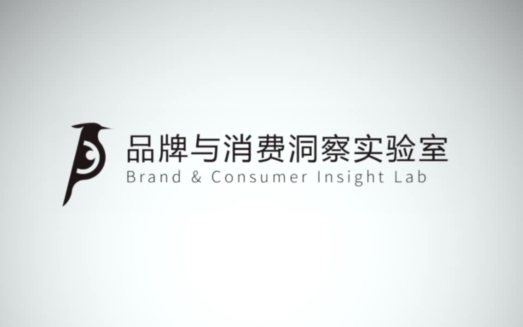 品牌与消费洞察实验室研究内容介绍(上)哔哩哔哩bilibili