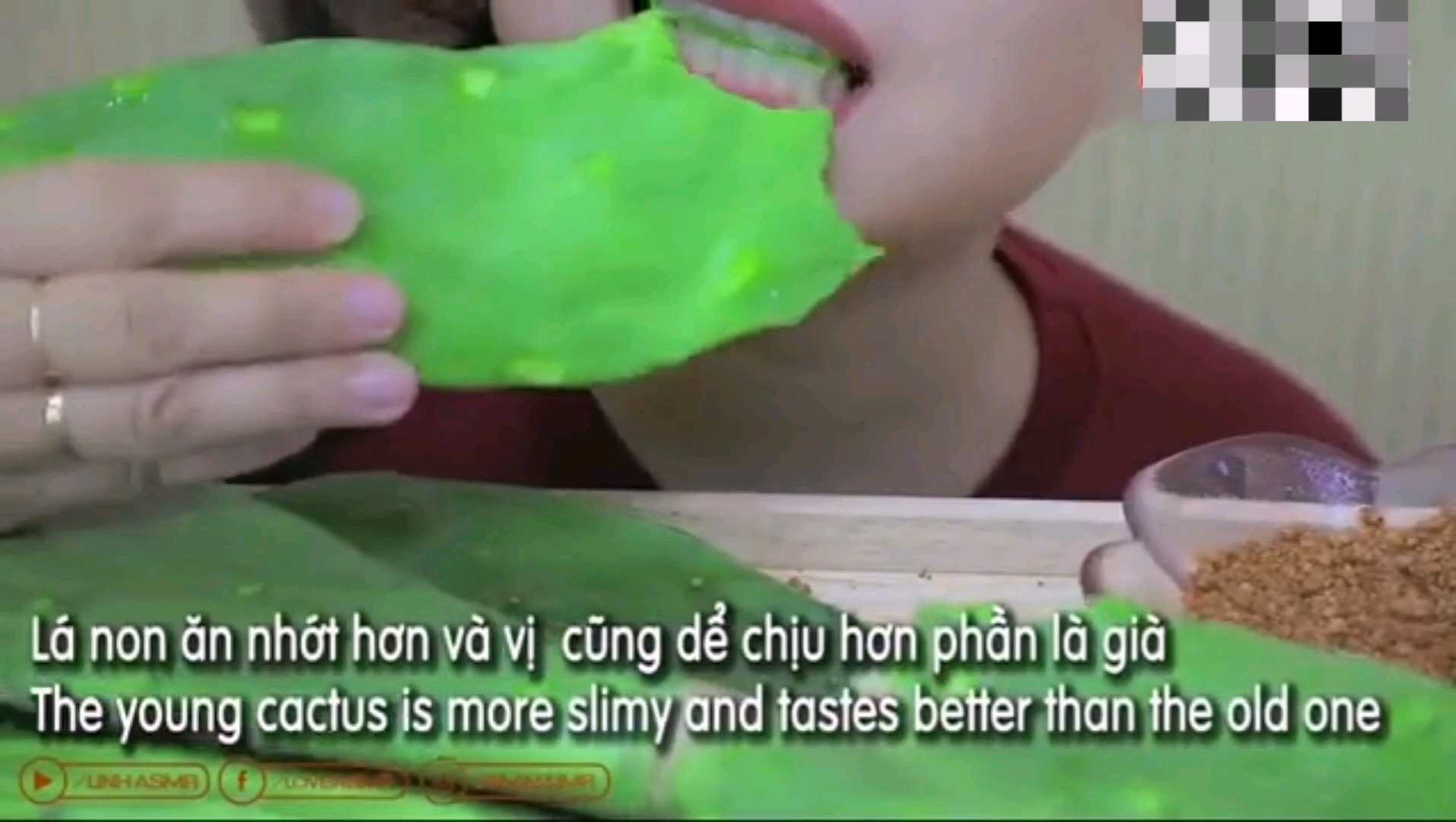 国外女吃货,吃仙人掌,蘸点辣椒面吃得特别香,这吃法还真不习惯