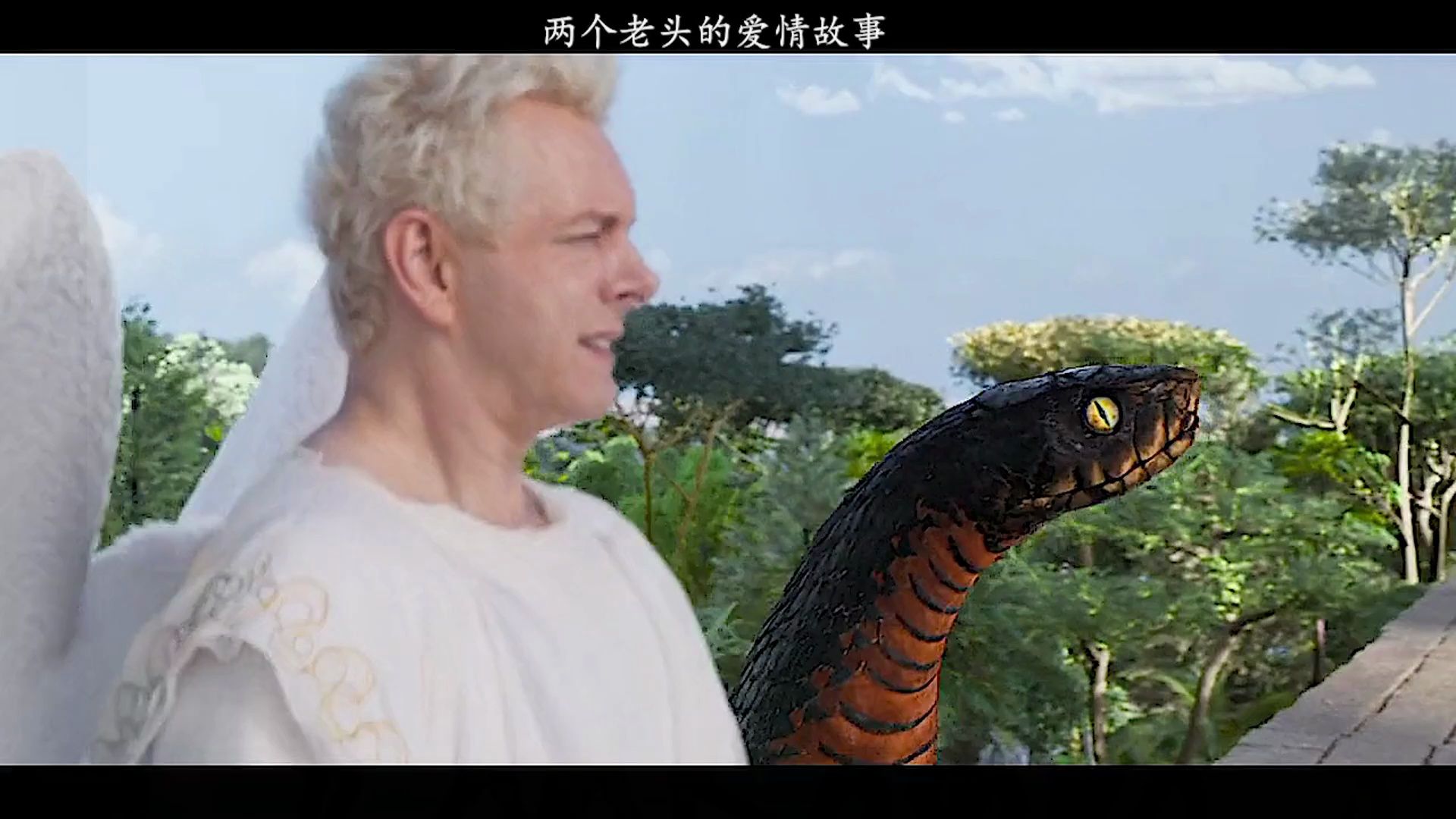 天使和恶魔6000年的友谊 好兆头