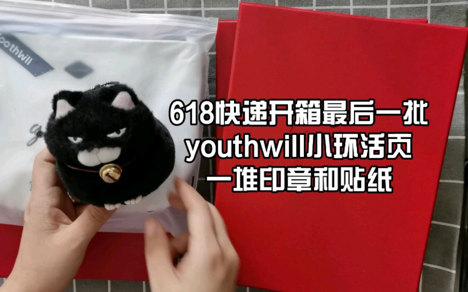 youthwill小环活页开箱评测 | 国产印章 | 文具安利 | 活页手帐哔哩哔哩bilibili