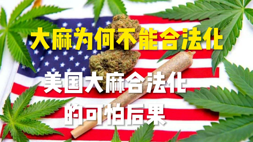 大麻为何不能合法化,美国大麻合法化的可怕后果和必然性!哔哩哔哩bilibili