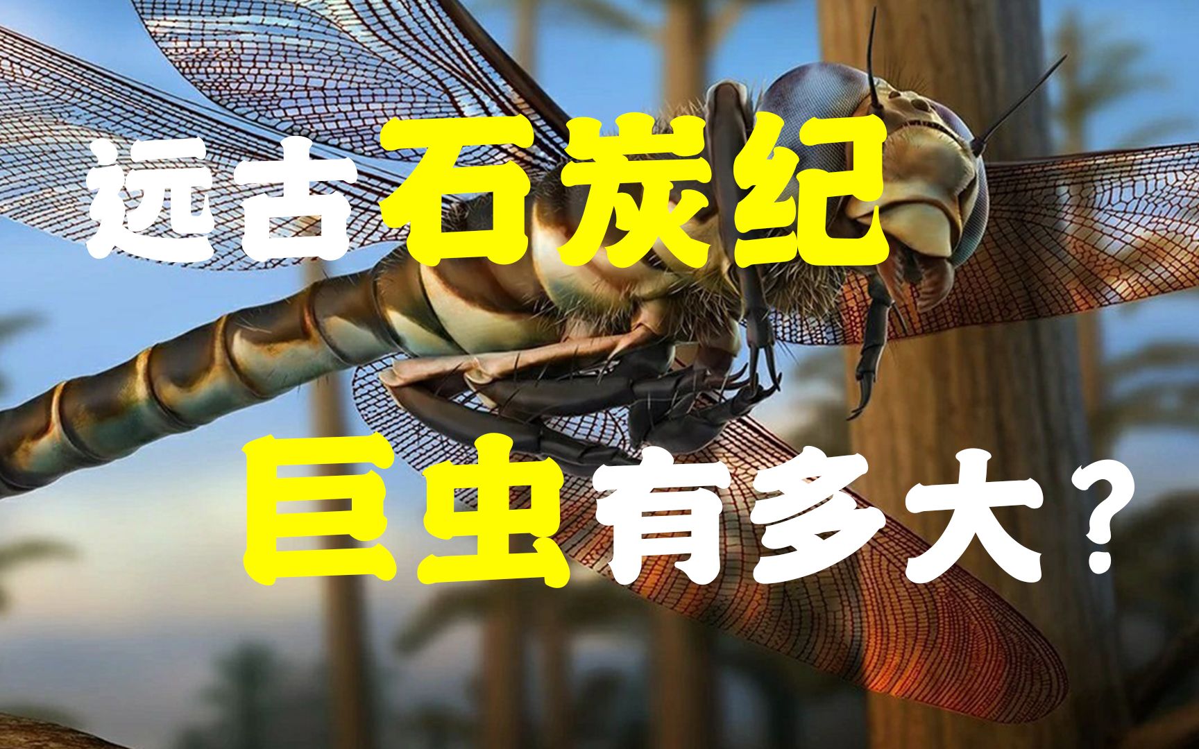 了解下雨林崩溃事件,巨虫时代到底是一个怎样的世界?