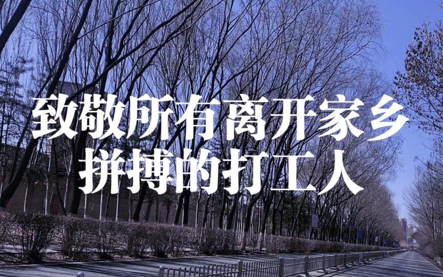 致敬所有离开家乡拼搏的打工人