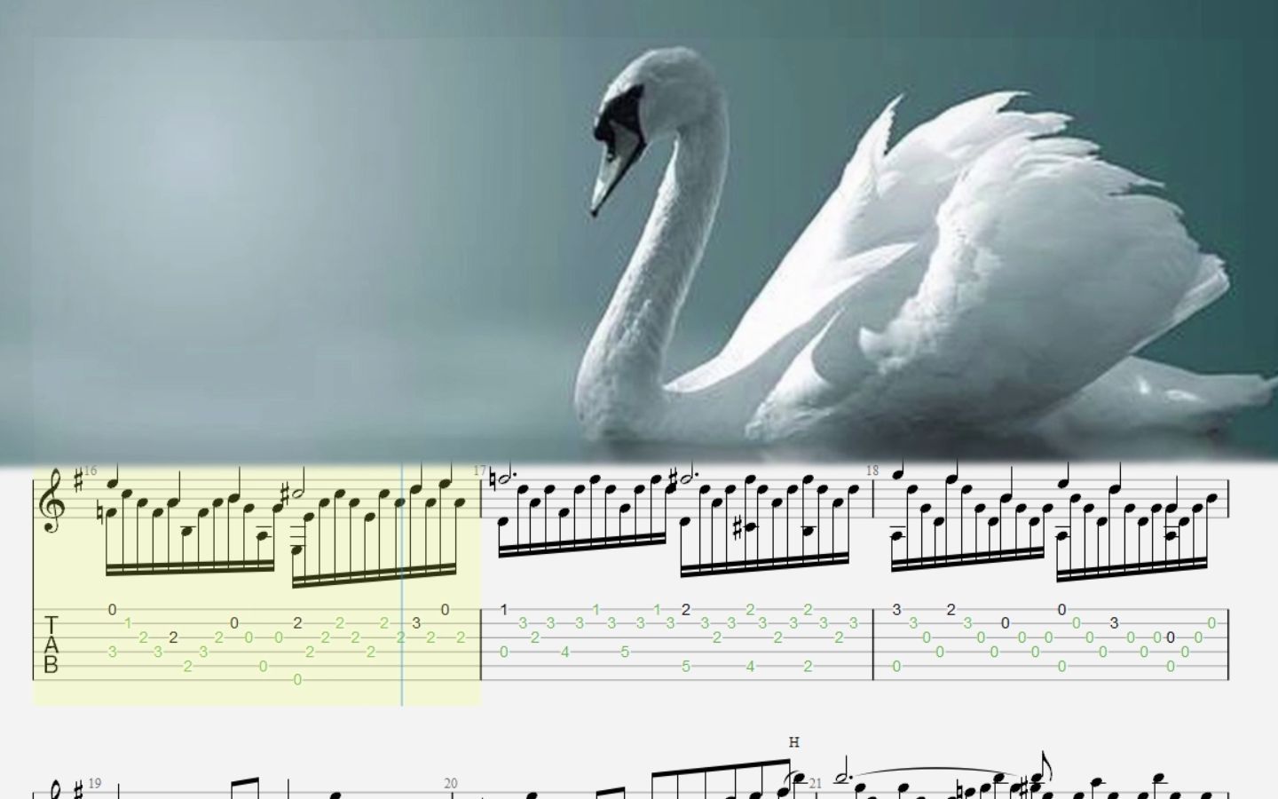 夏尔卡米尔圣桑天鹅swan非轮指古典吉他谱已经校对重大错误
