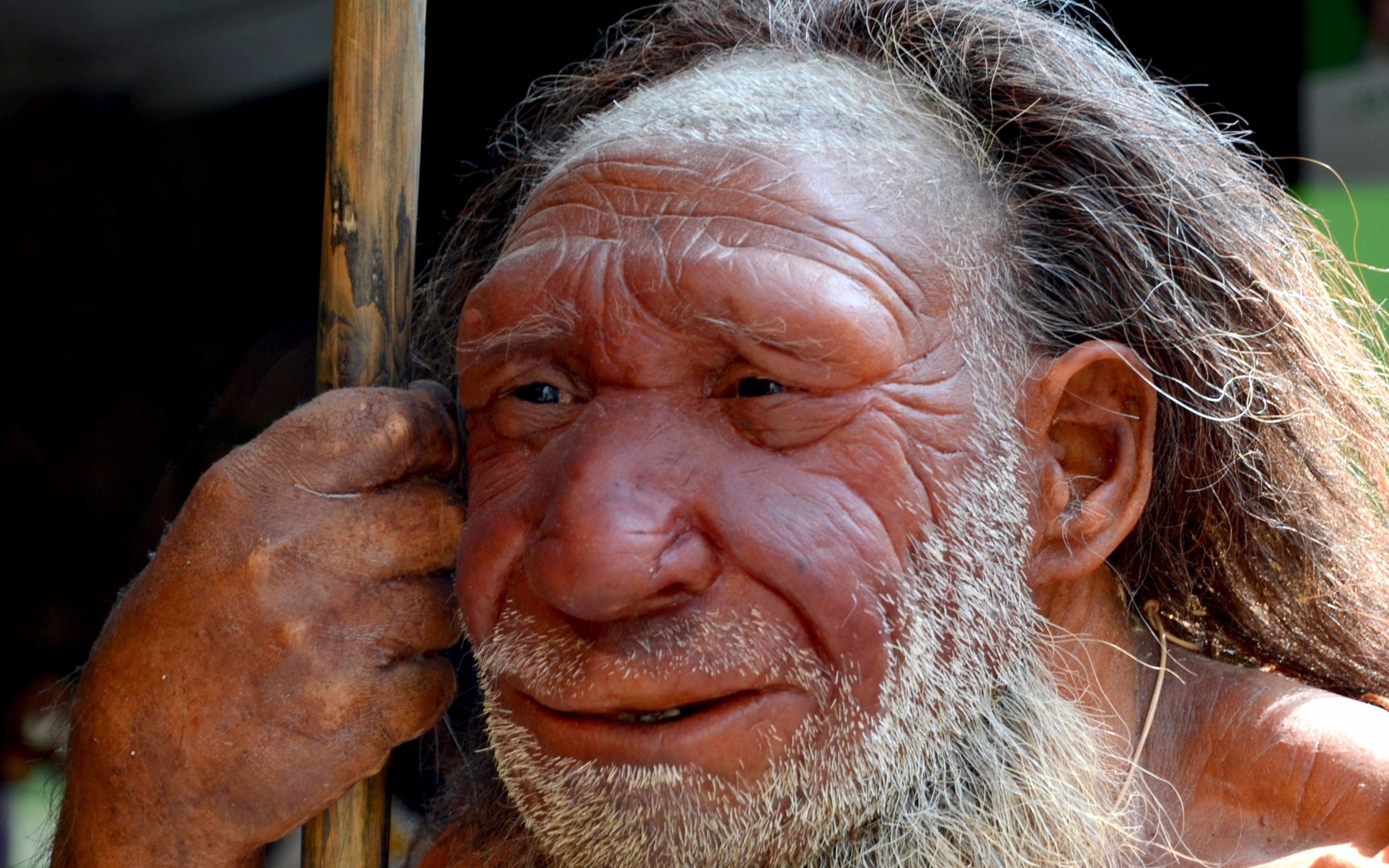 [纪录片] 新星特辑 人类进化 nova special becoming