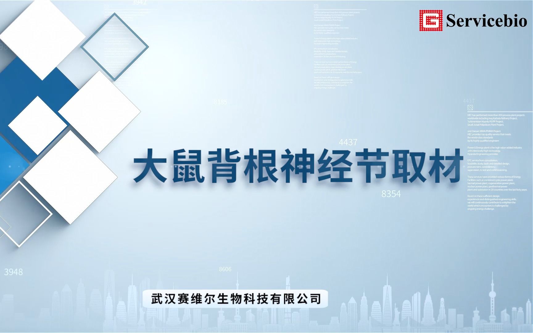 大鼠背根神经节取材-卡卡卡卡卡曼橘-默认收藏夹-哔哩哔哩视频