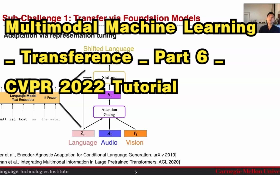 Multimodal Machine Learning Transferen Multimodal machine learning transferen