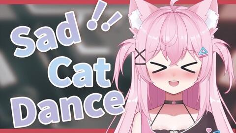 Sad Cat Dance_哔哩哔哩_bilibili