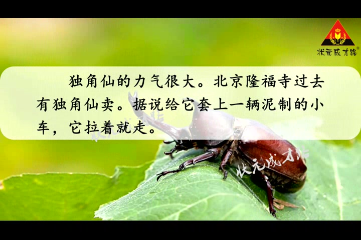 [图]4 昆虫备忘录（朗读）