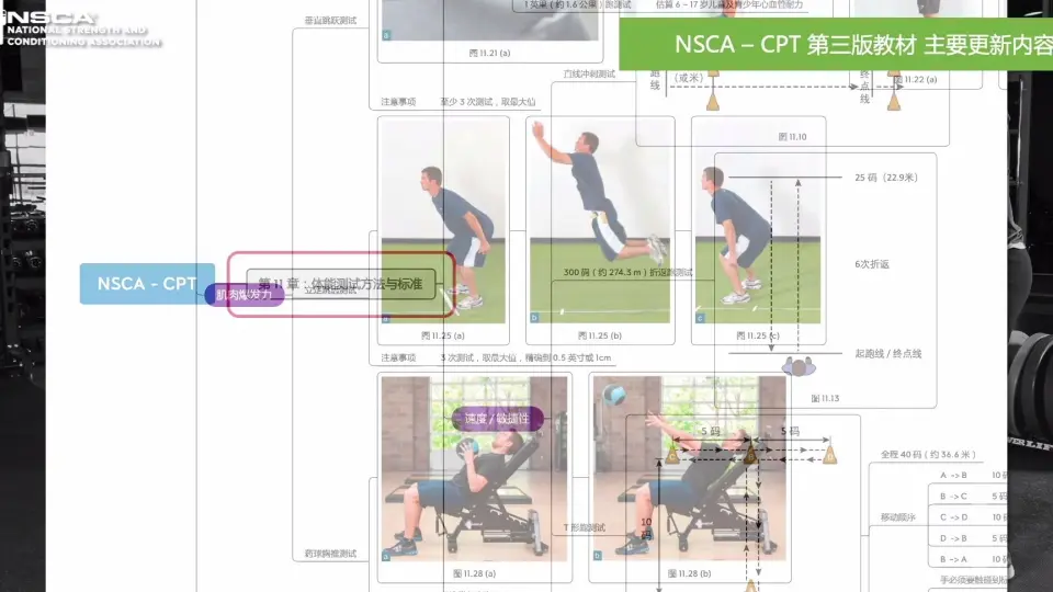 NSCA CPT 私人教练认证第3版教材更新内容思维导图备考资料美国国家体能