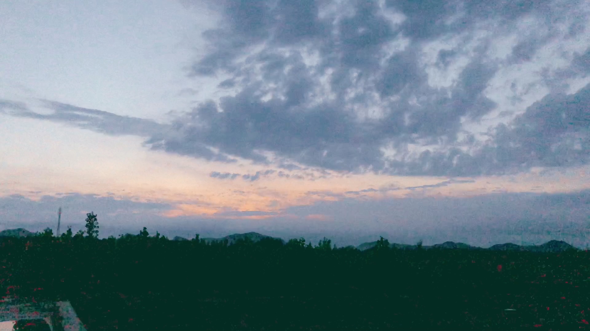 [图]大雨之后，是青蛙和蟾蜍的聚会