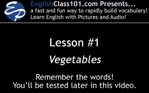 【英语词汇可视化学习课堂】《Learn English with Video and Pictures》通过视频和图片让你快速掌握英语词汇哔哩哔哩bilibili