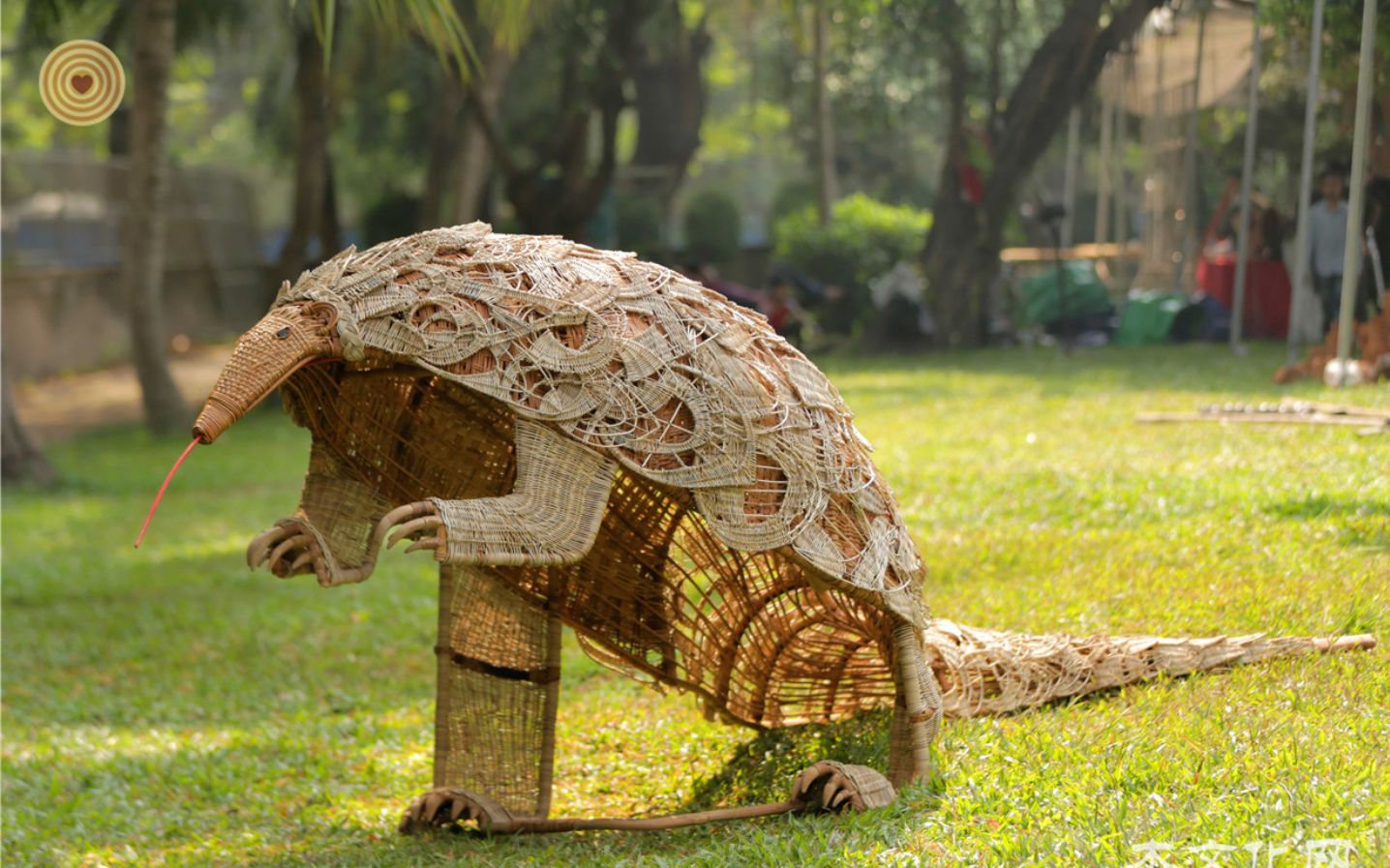 艺术/设计/拯救穿山甲/藤编