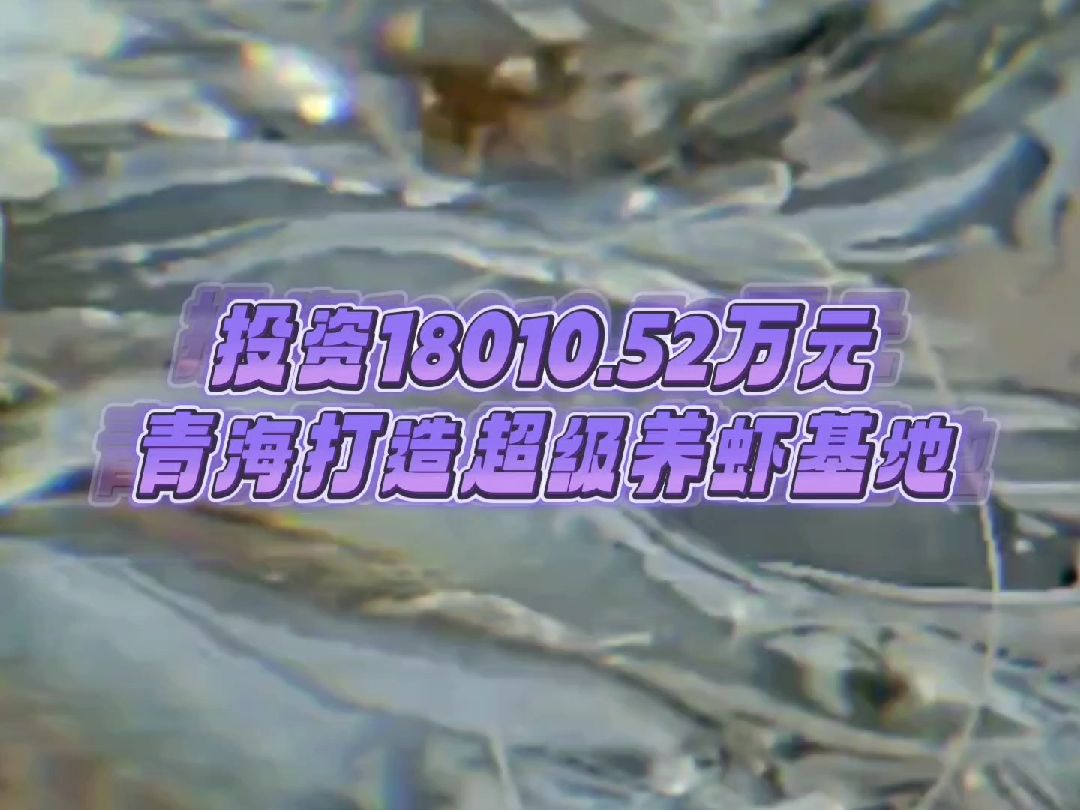 投资18010.52万元,青海打造一个超级养虾基地!哔哩哔哩bilibili