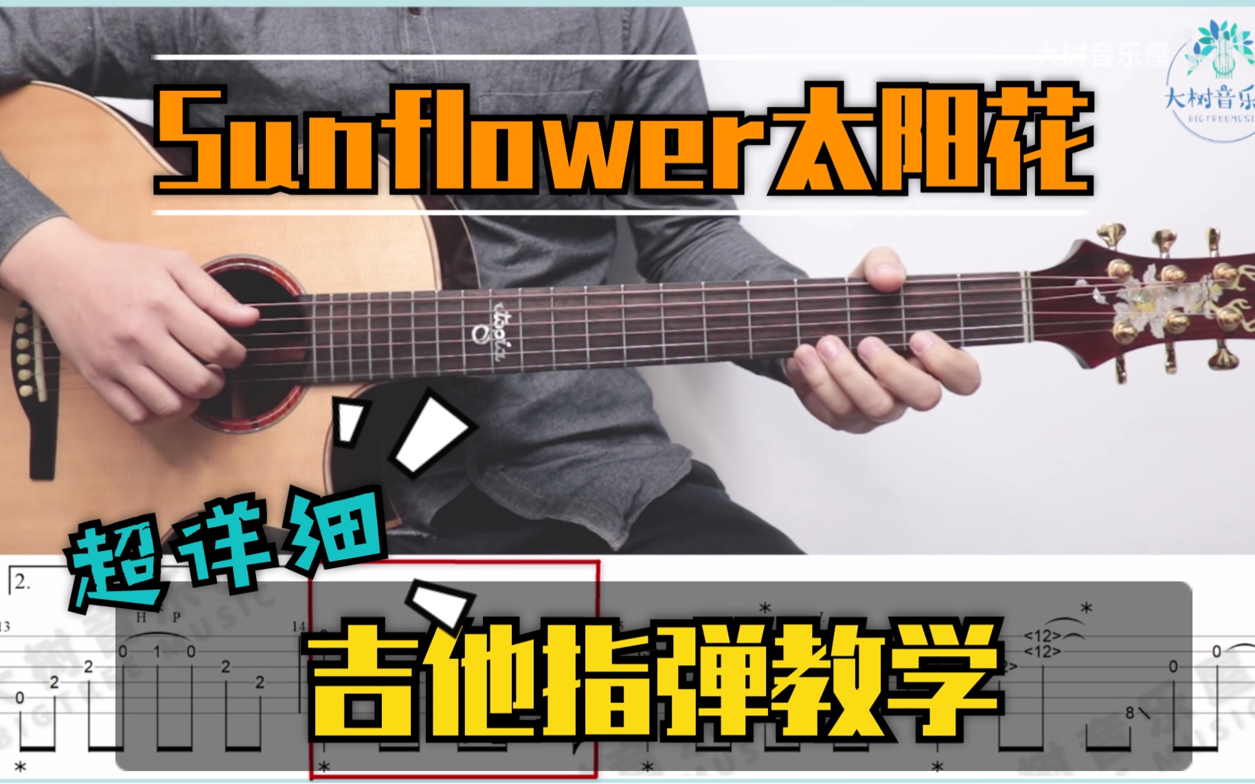 【指弹教学】指弹入坑曲 太阳花《Sunflower》Cover孙培博吉他指弹完整教学大树音乐屋哔哩哔哩bilibili