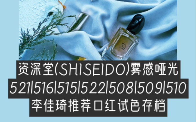 资深堂(SHISEIDO)雾感哑光 李佳琦推荐口红存档哔哩哔哩bilibili