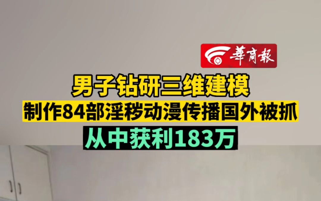 男子钻研三维建模制作84部淫秽动漫 传播国外被抓 从中获利183万哔哩哔哩bilibili