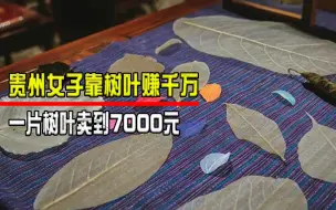 Télécharger la video: 贵州女子靠树叶赚上千万？一片树叶卖到7000元，这究竟怎么回事？