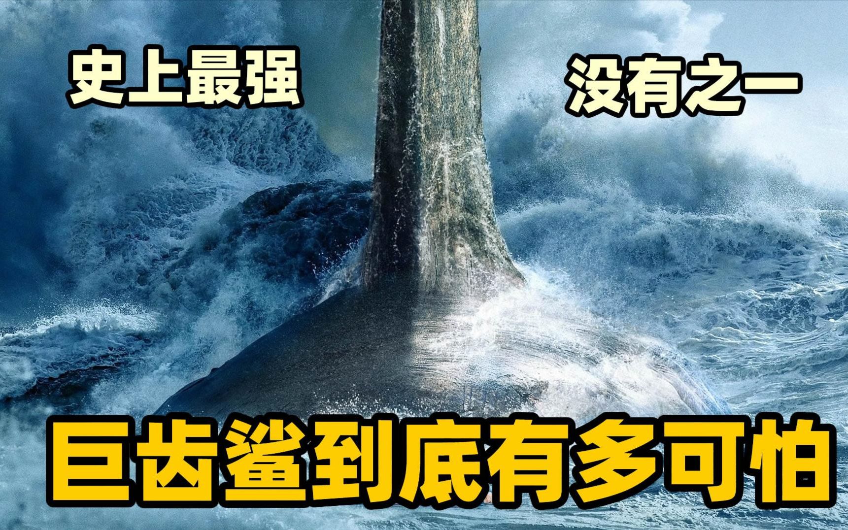 史前巨齿鲨有多可怕,大白鲨就像它的幼崽一样,纪录片《巨齿鲨》哔哩哔哩bilibili