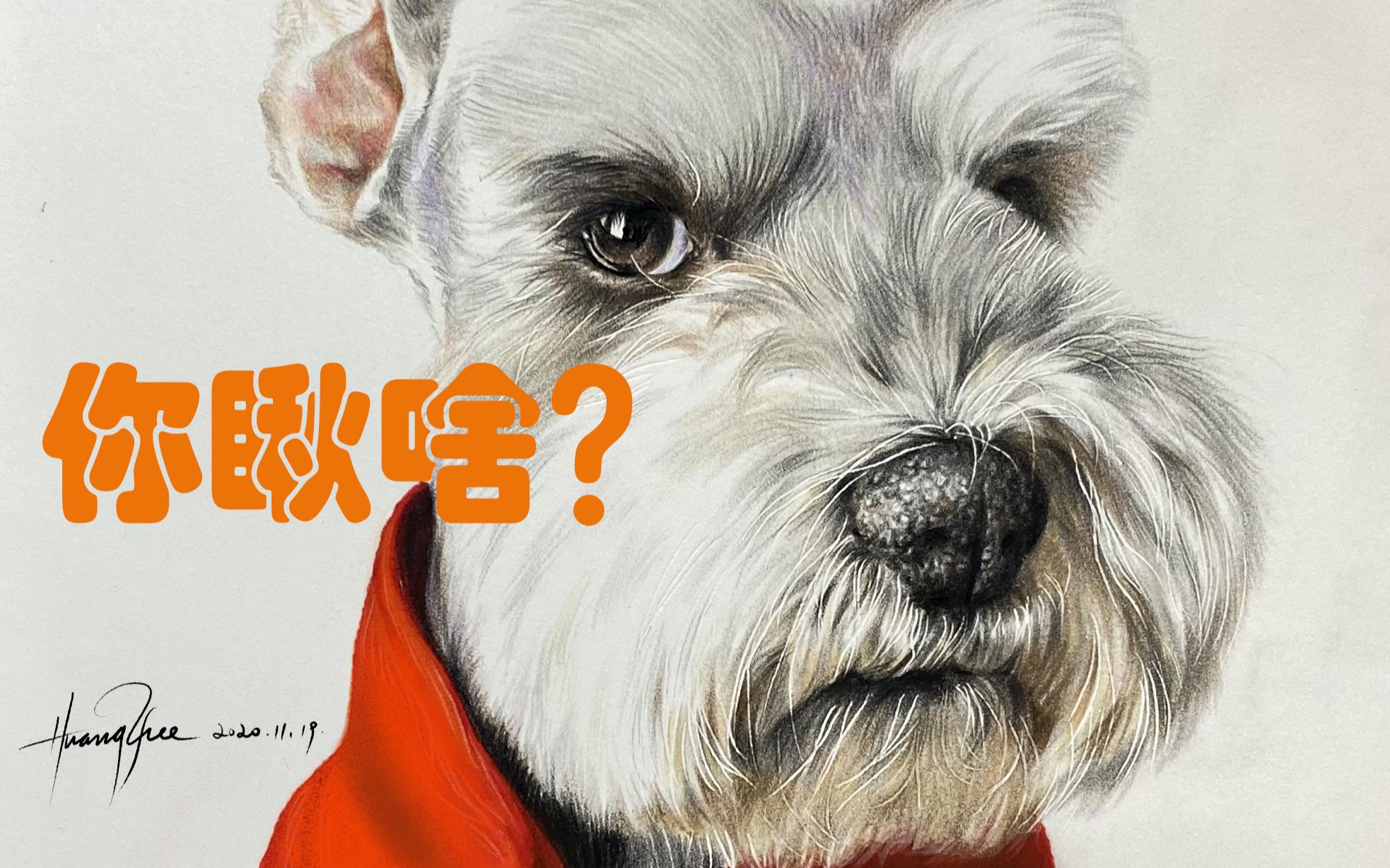 彩铅确认过眼神是很潮的雪纳瑞