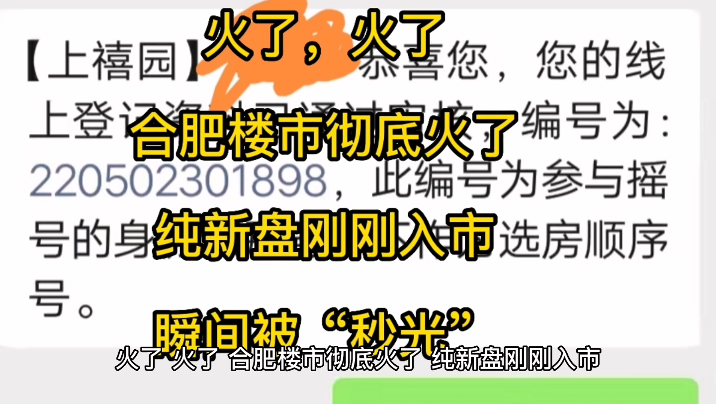 火了,火了,合肥楼市彻底火了,纯新盘刚刚入市,瞬间被“秒光”,并且,更火的还在后面,不排除会有“万人摇”的楼盘出现哔哩哔哩bilibili