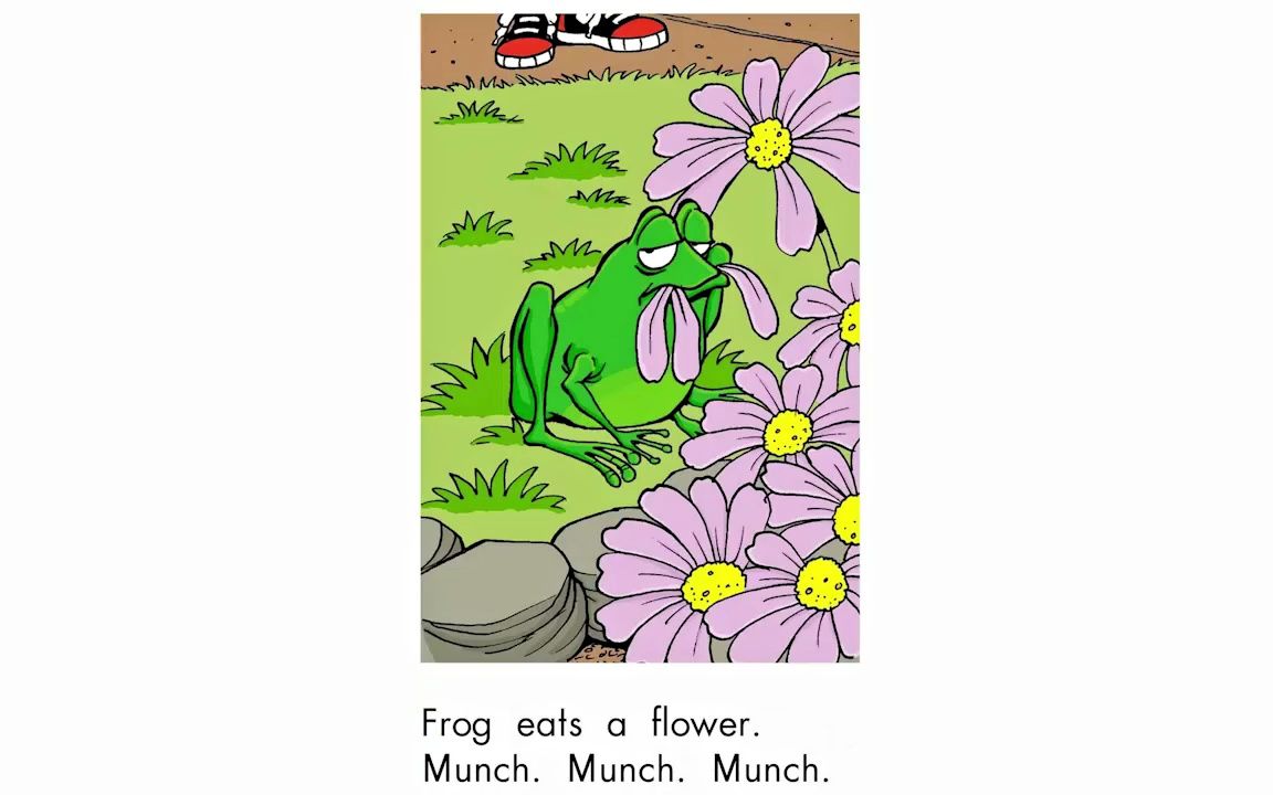 [图]RAZ分级阅读 D级 Frog Is Hungry