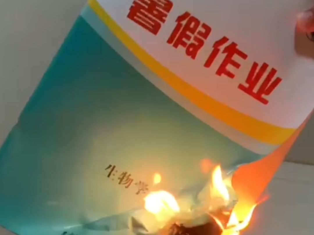 答应你们的过40w播放烧暑假作业视频