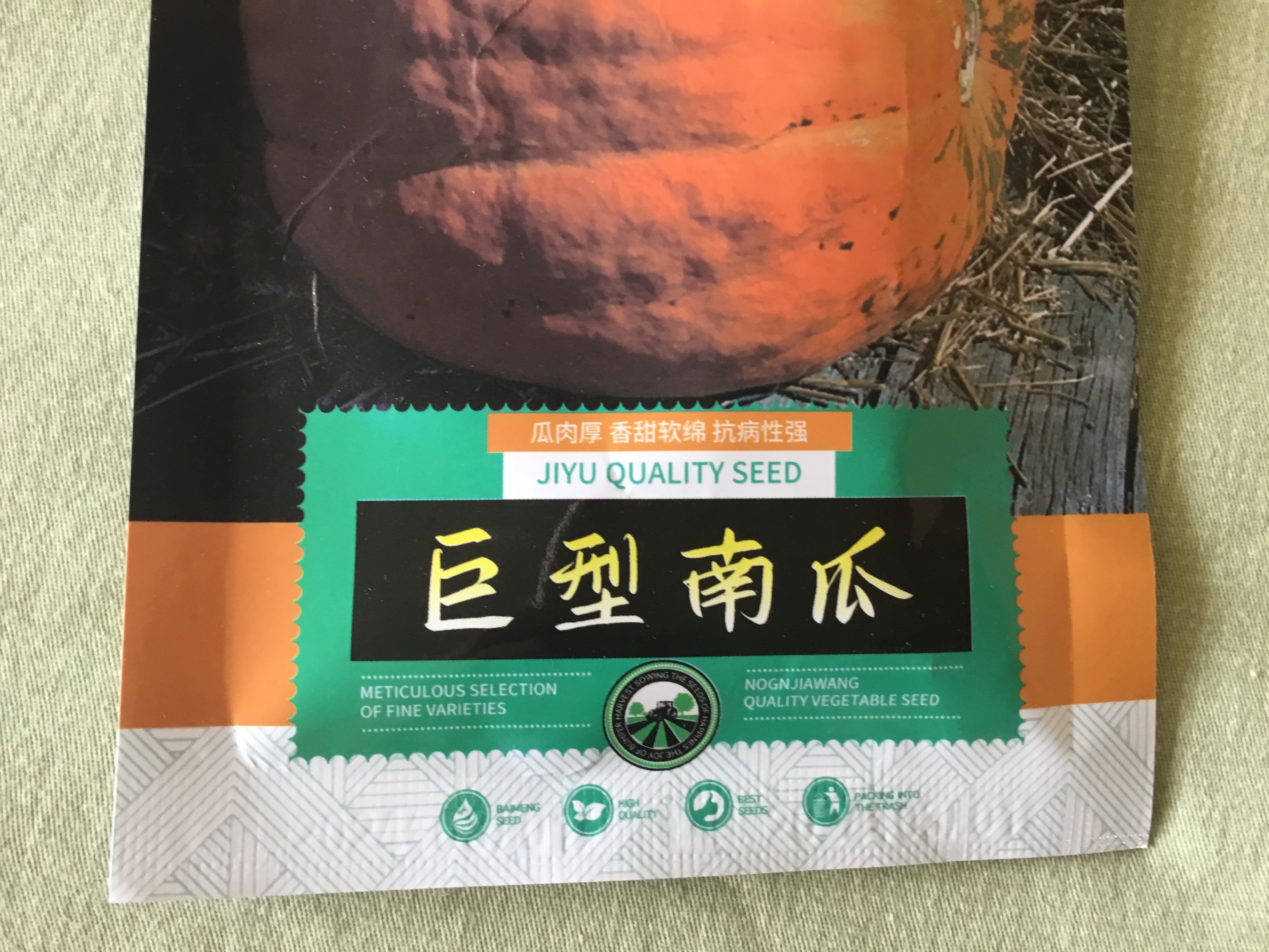 "巨型南瓜"种子