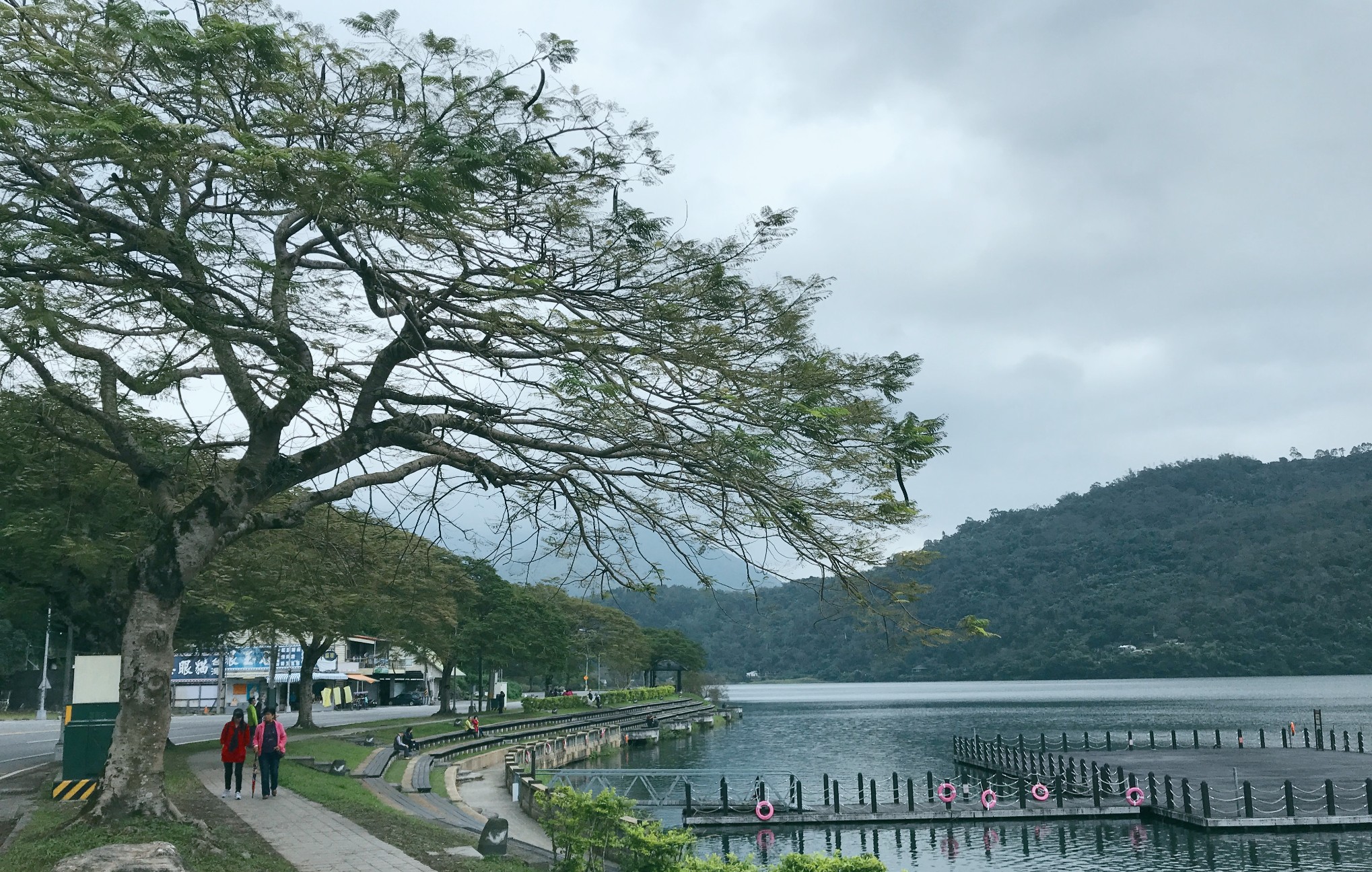 台湾省花莲鲤鱼潭是东台湾最大的湖泊,湖水终年清澈,景色极优美,潭四周筑有环湖公路,全程4公里,可徒步1小时,潭水来自湖心的涌泉,清澈无比,...