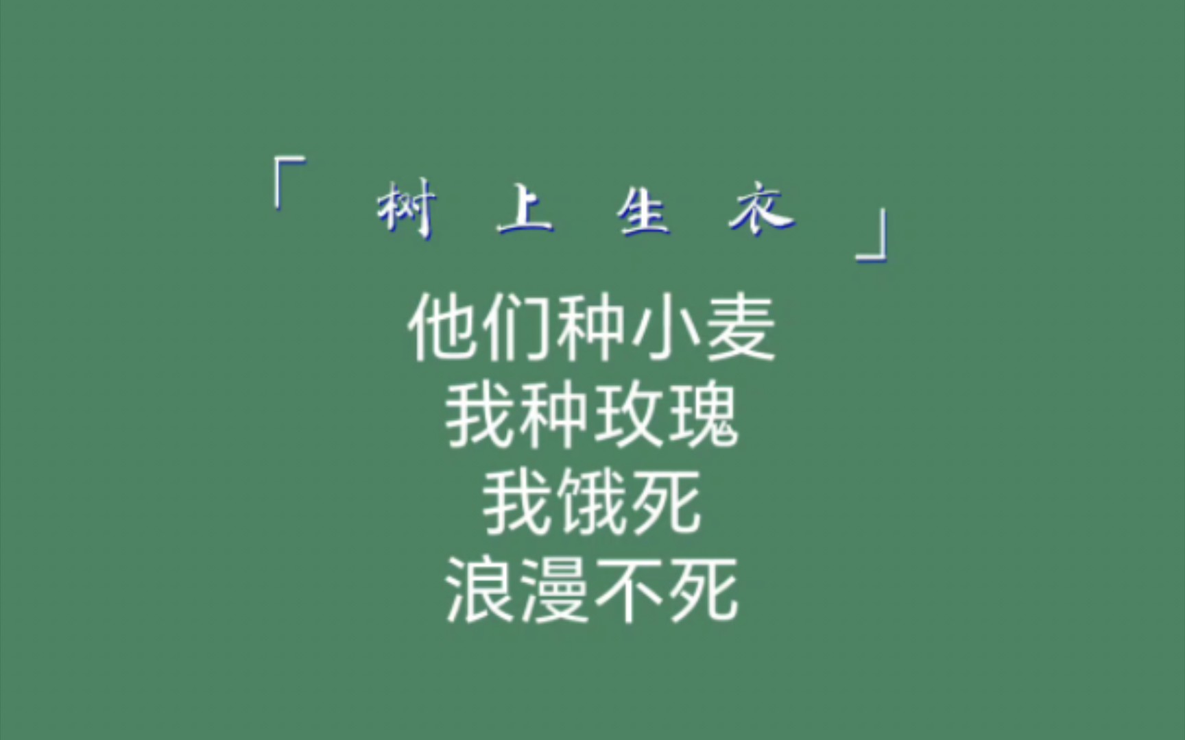 那些有趣的句子|他们种小麦,我种玫瑰,我饿死,浪漫不死哔哩哔哩bilibili