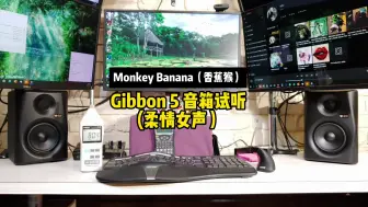 Télécharger la video: 【音箱试听】Monkey Banana（香蕉猴） Gibbon 5  / 柔情女声