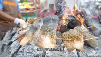 Descargar video: 新疆街头美食果木烤鱼，大块15小块10元，皮芽子腌制浇上蒜蓉太香了