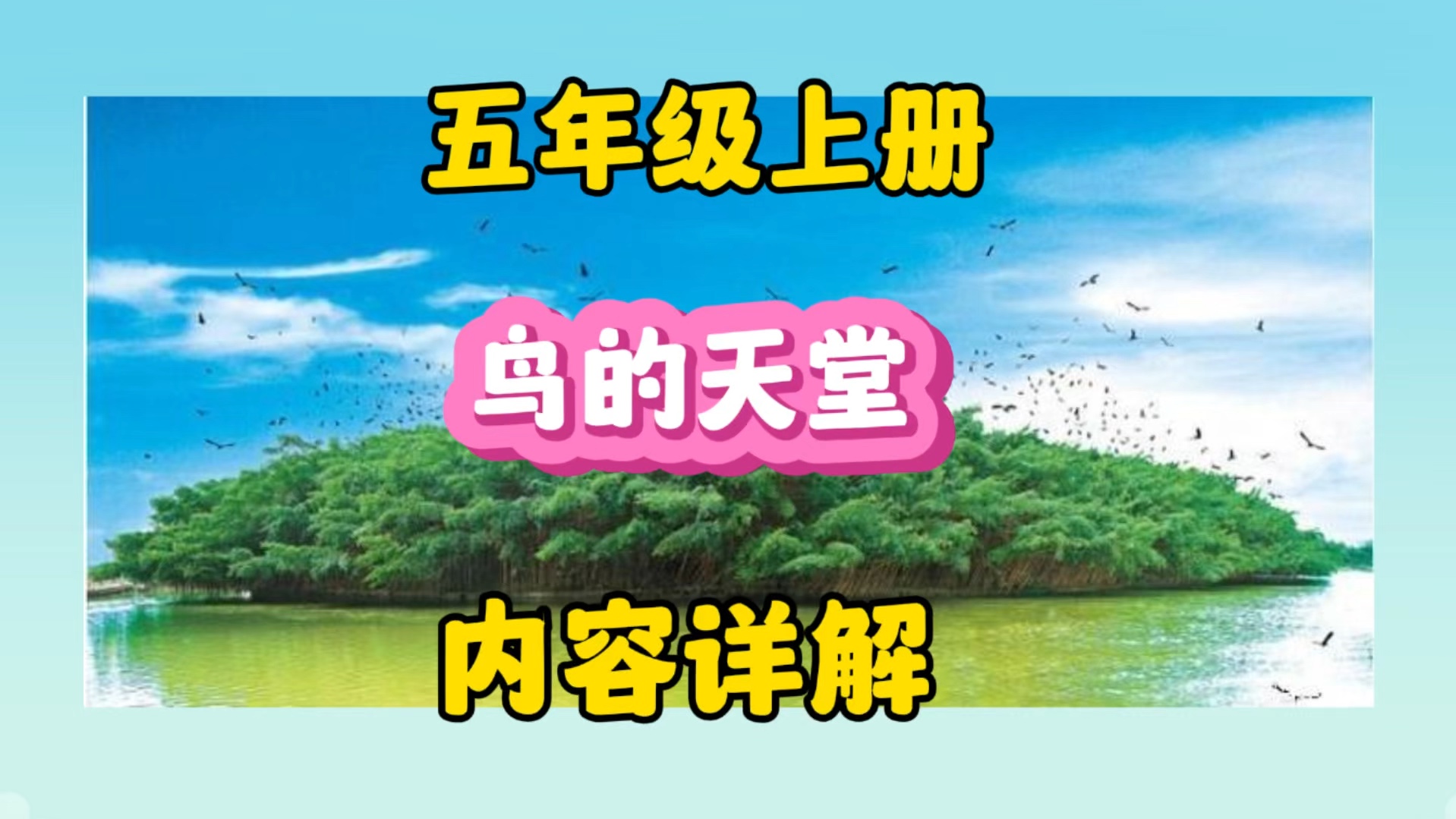 五年级上册:榕树有多大?鸟儿有多少?为什么大榕树能成为《鸟的天堂》呢?哔哩哔哩bilibili