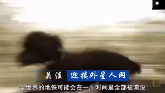 如果全人类突然灭绝，但其他动物还在，地球会怎样？